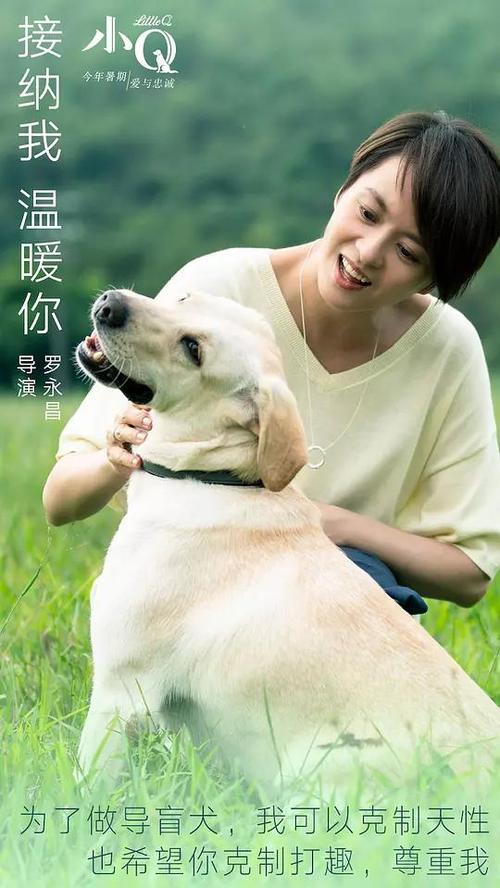购买志学馆大学毕业证